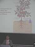 03 Aua dem Referat "Wasser und Pflanze" Die Transpiration ist der Motor des Wassertranspoerets ind er Pflanze