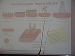 08 Zur Anordnung von Tropfern und Tropfschl&auml;uchen