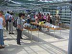 32 Im Arbeitsraum des Gew&auml;chshauses gab es viel Infomaterial