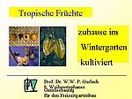 A 20 Die PPT-Präsentation von Prof. Gerlach