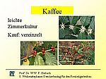 A 26 Kaffee