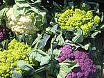 A 53 Der farbige Blumenkohl - eine interessante Erg&auml;nzung