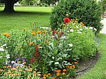 A 26 Die bunt bepfanzenten Beete im Hofgarten sind eine Attraktion