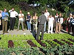 02 Thomas Jaksch stellt Salat mit und ohne Stickstoffdüngung vor