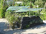 22 Hochbeet mit Folienbedeckung