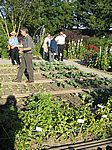 39 Optimale Stickstoffdüngung im Hausgarten